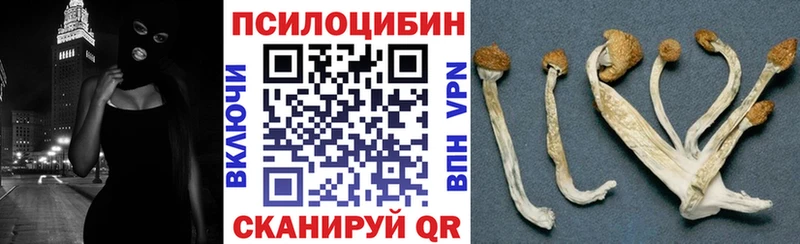 кракен   Вятские Поляны  Галлюциногенные грибы мицелий 